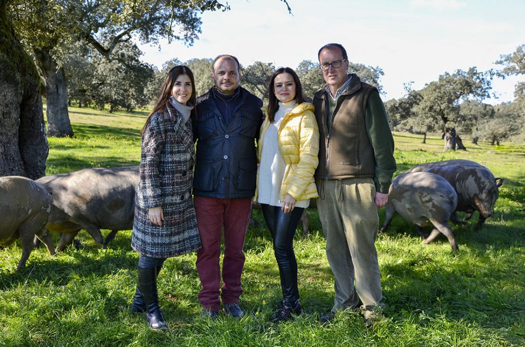 ibérico